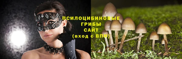 мескалин Пестово