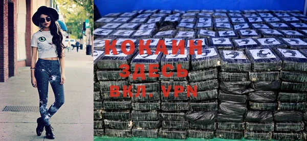 сатива Осташков