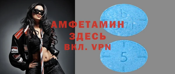 дмт Тайга
