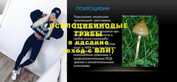 сатива Осташков