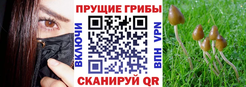Псилоцибиновые грибы ЛСД  как найти закладки  Кохма 