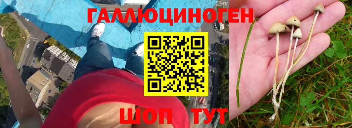 Псилоцибиновые грибы Magic Shrooms Кохма